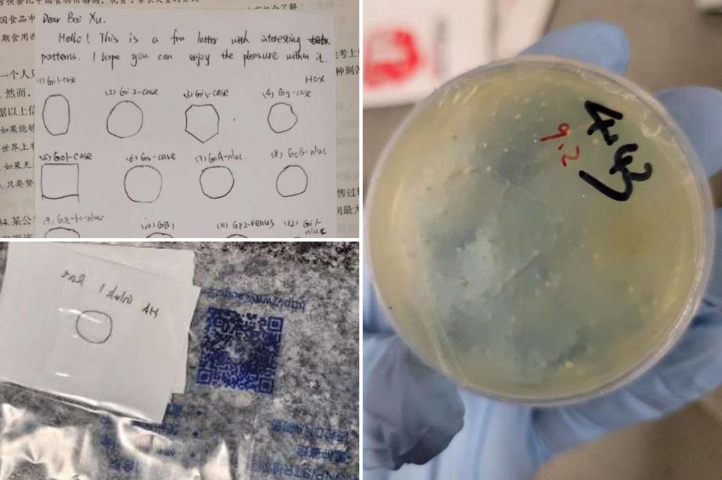 Another Chinese scientist — from Wuhan — charged with smuggling illegal biological material into US